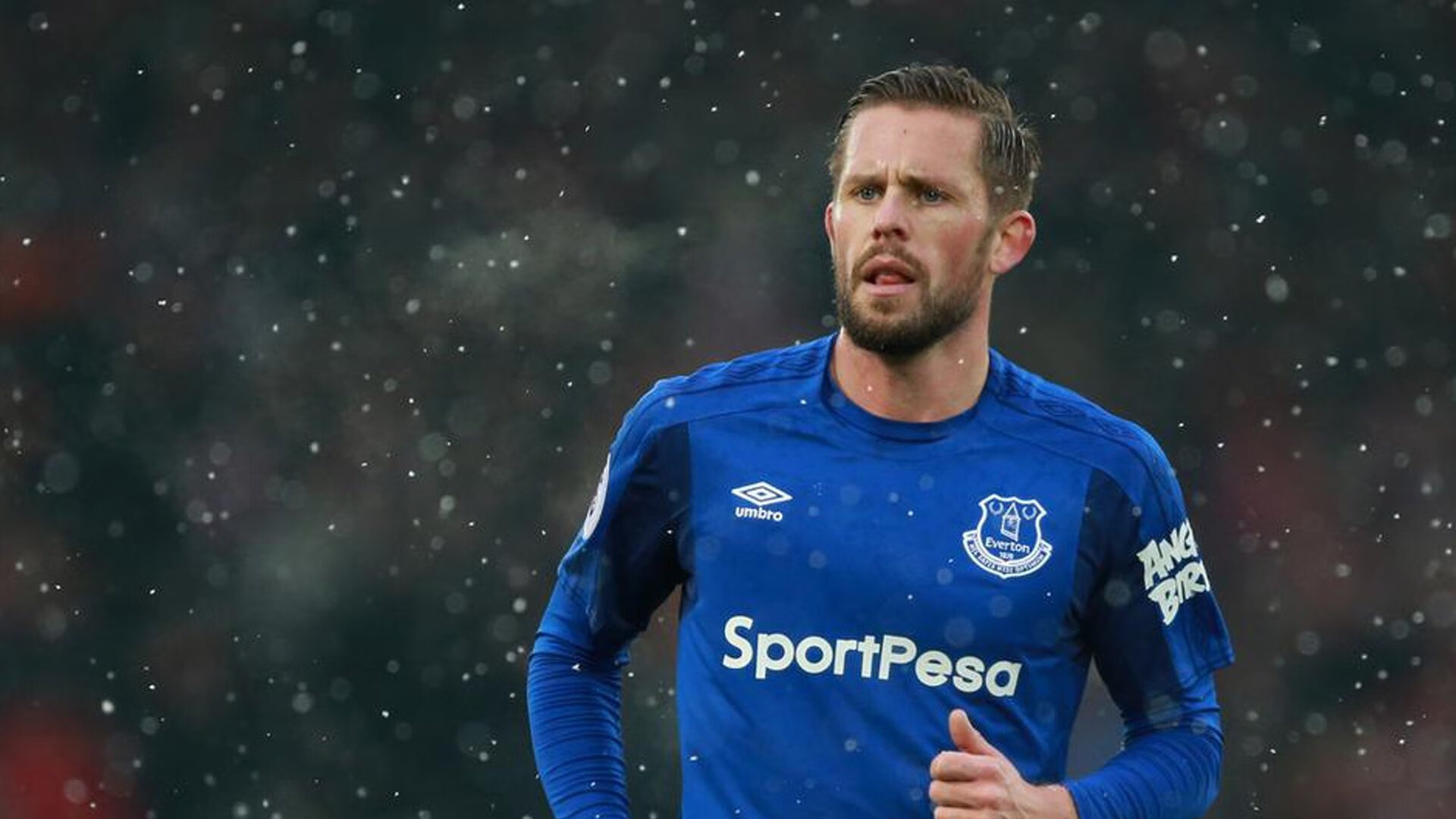 -悉尼国王主场表现抢眼，悉尼国王队名单